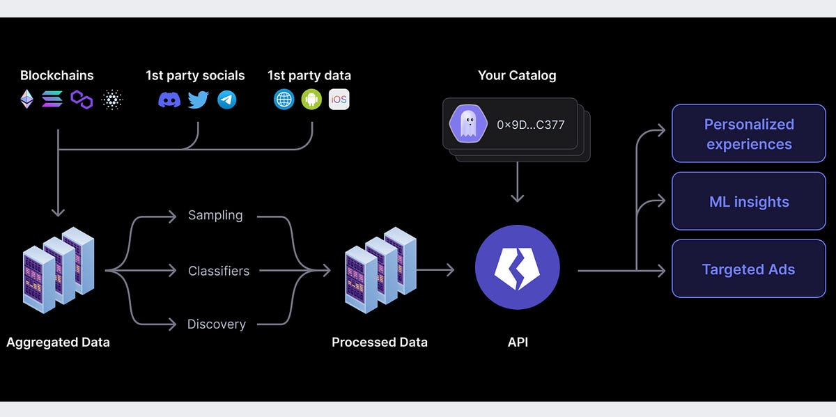 Clue into Customer Data in 3 by Natalie Docherty
