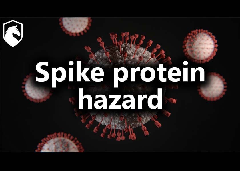 Spike Protein Damages Vascular Cells