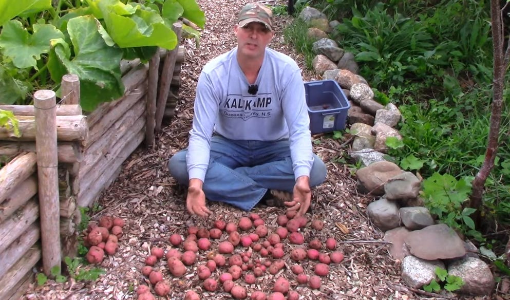 What's the Best Potato To Grow?