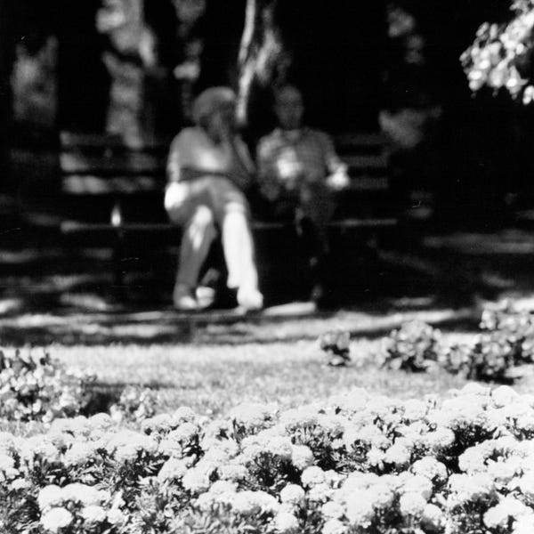 One Piece at a Time by Glenn Cook Our Reality Show