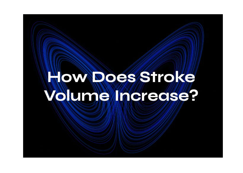 How Does Stroke Volume Increase Emergence By Evan Peikon