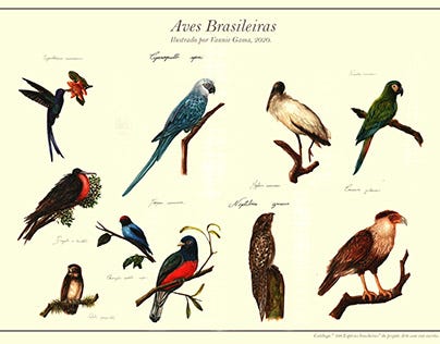 as aves que aqui gorjeiam - by Júnior Bueno