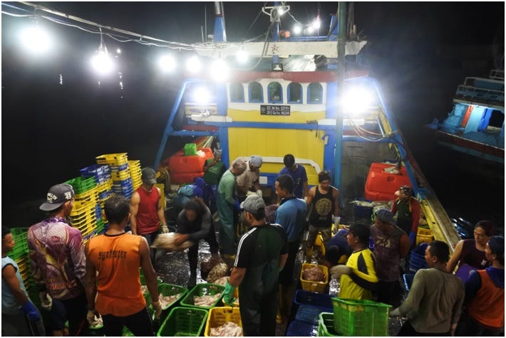 Indonesian Fishermen Struggle to Adapt to Climate Change