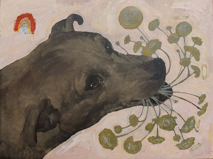 December began with a hitched breath by zoe