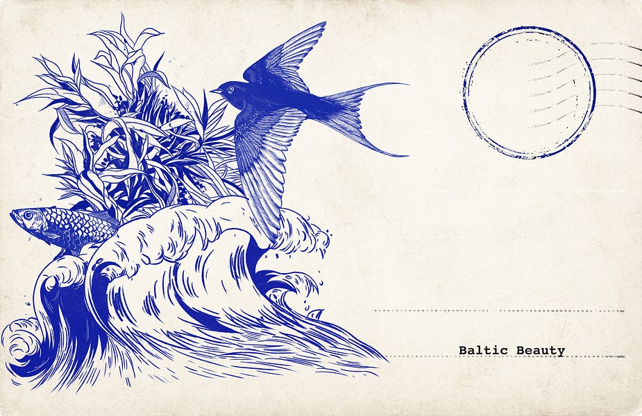 Baltic Beauty By James Broughel Culture Progress