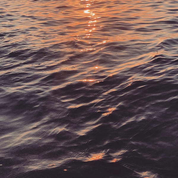 Revolutions and retromotions by Sofia B.