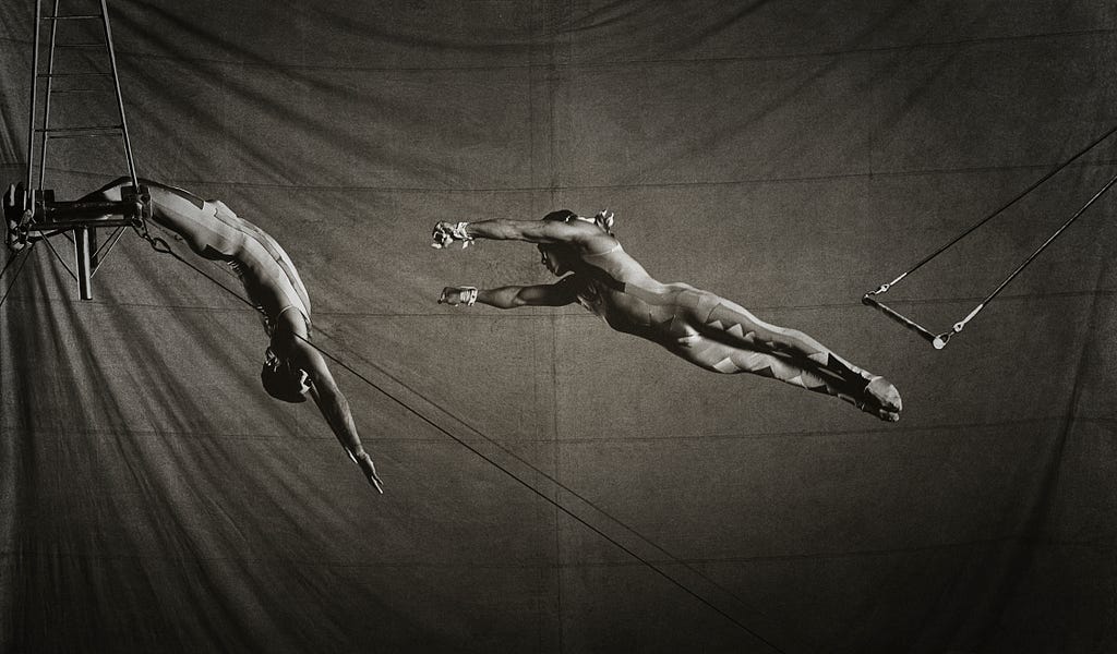 Let's Read Some Lyrics Iron & Wine's "The Trapeze Swinger"