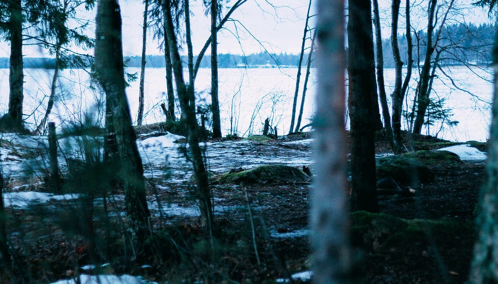 The Lake Bodom Murders, a Horrific Mystery of Brutality and Murder