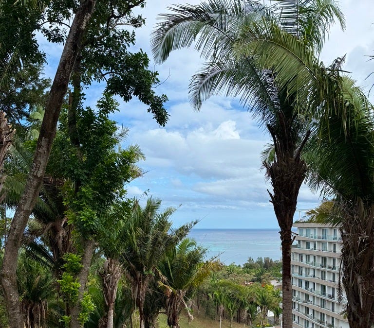 Pragmatists of the Caribbean