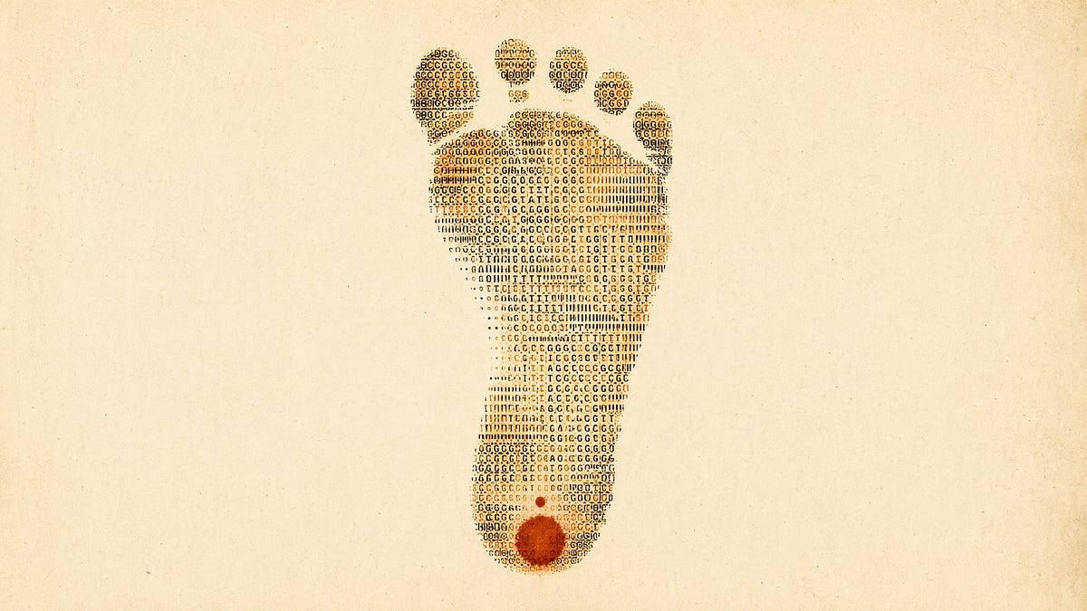 The Heel Prick Matrix