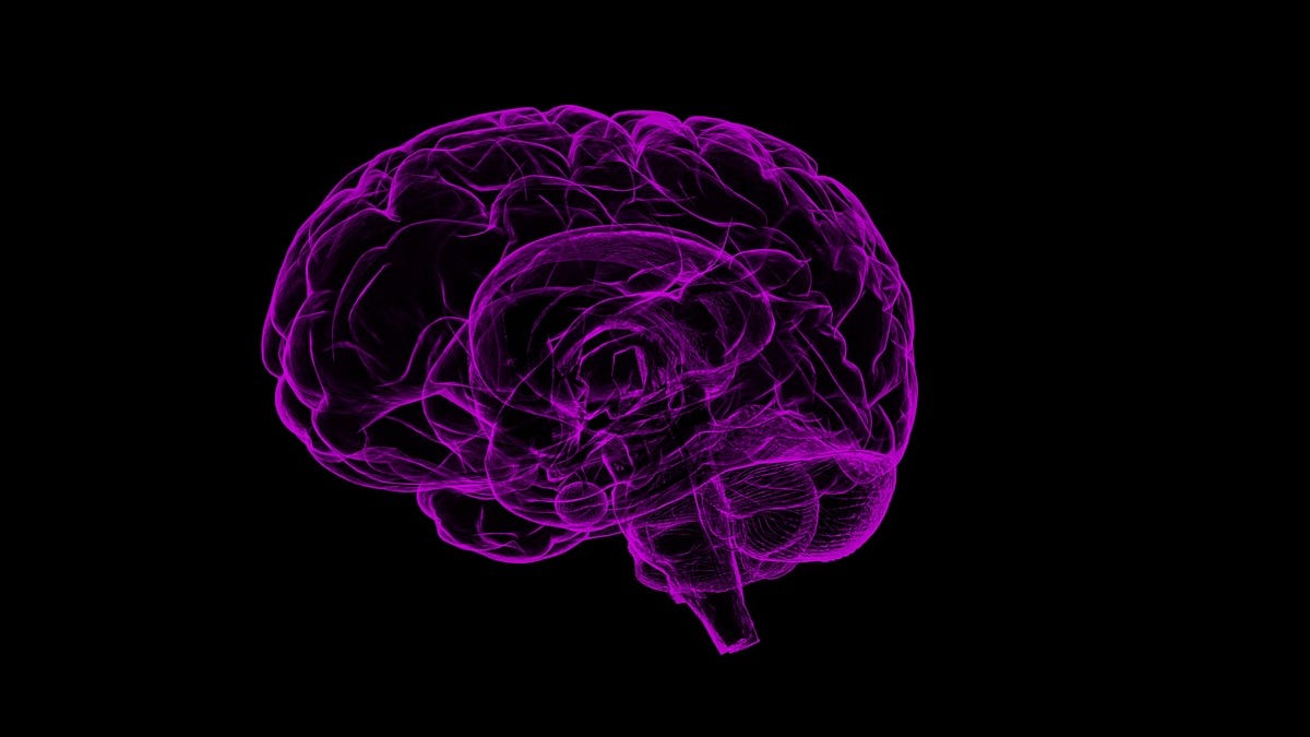 Virtual Biohacking Conference 2021 Recap: Mitochondria, Decision-Making, and Winning 40 Years of Zen