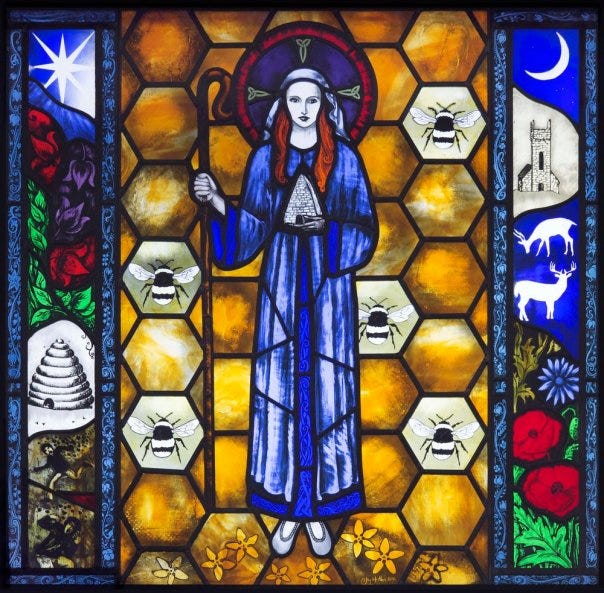 Image result for St. Gobnait