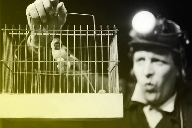 Even 'Canary in the Coal Mine' Indicators Say This Bull Market Is Mostly  Healthy | Barron's