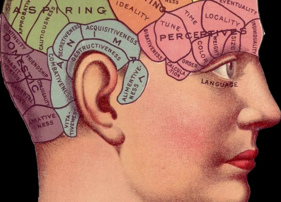 The Garden Party Zalayka Azam Substack