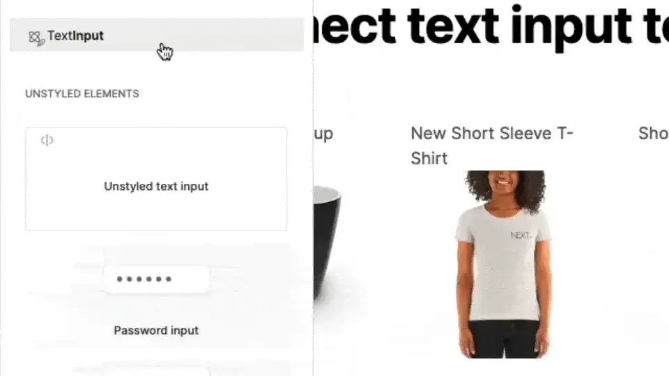 add text input to ecommerce page