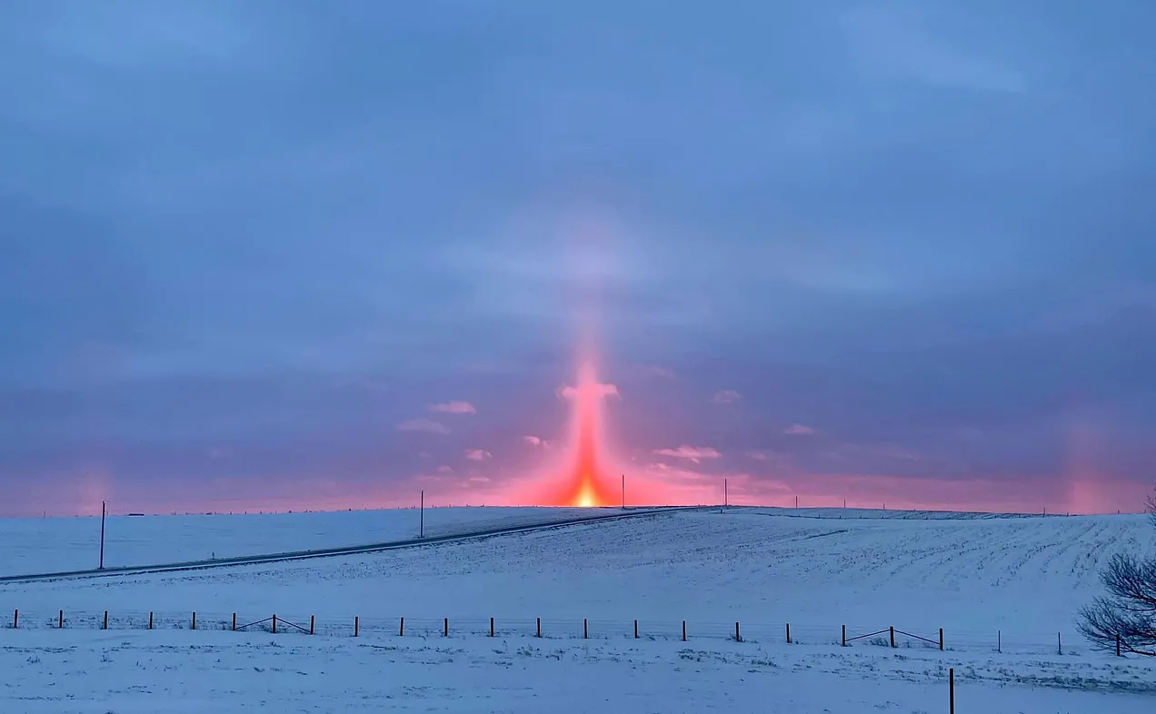 0ae02906-deb3-459d-a519-026779e10dac_204