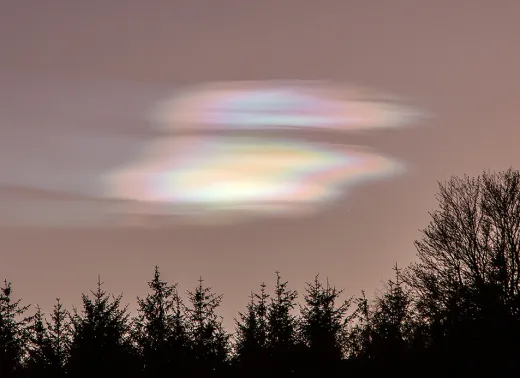 141db752-6428-4358-ae20-ebd42ee22fba_520