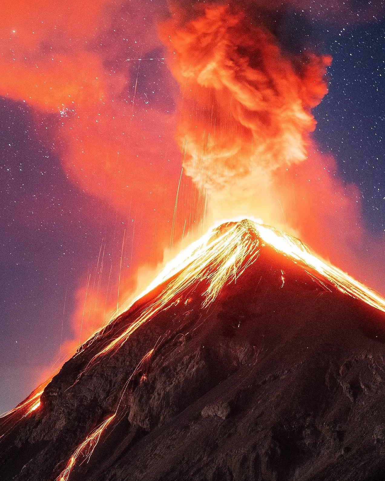 26466349-5d29-4a7f-becc-0b5568ada342_144