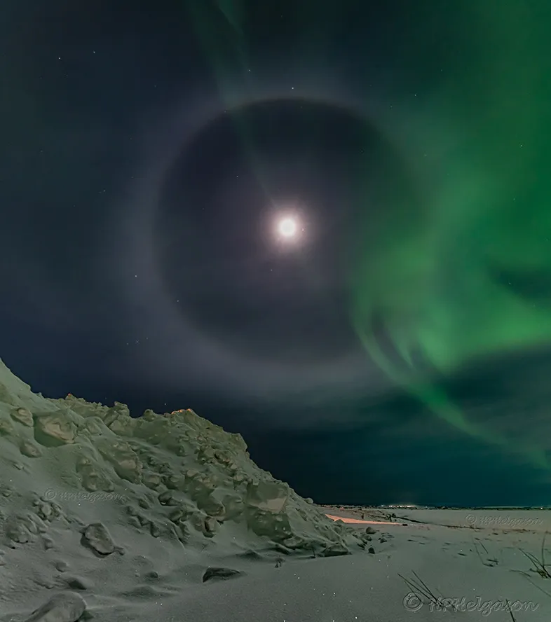 e6283e8c-0f72-4741-97f0-ae08c5a910e4_786