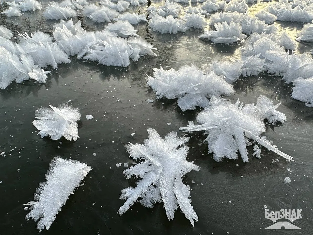 e9f94b43-c675-40ea-aabb-8b225206dbd6_128