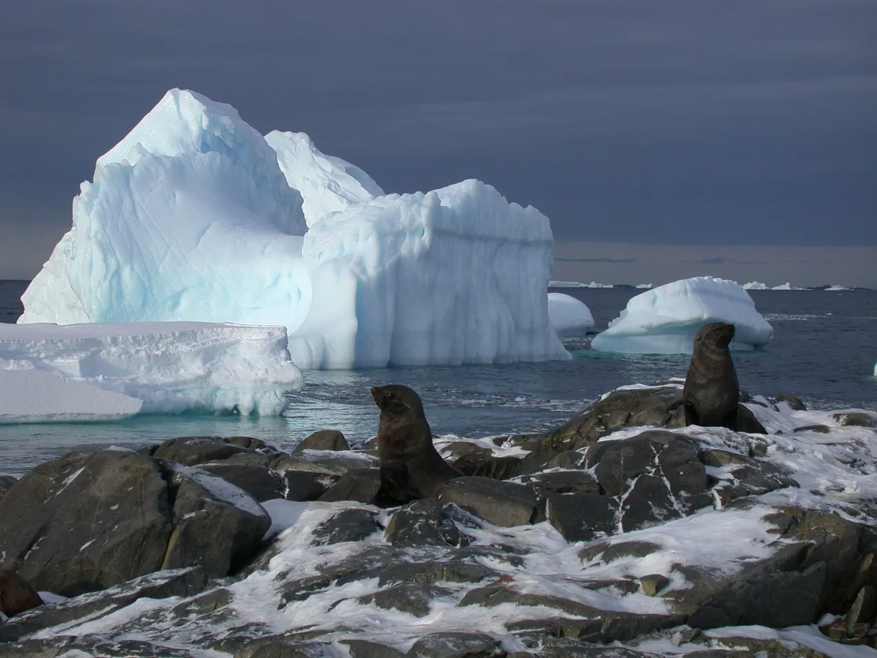 f393d32d-0c00-44de-9b3e-f4584f274ce7_204