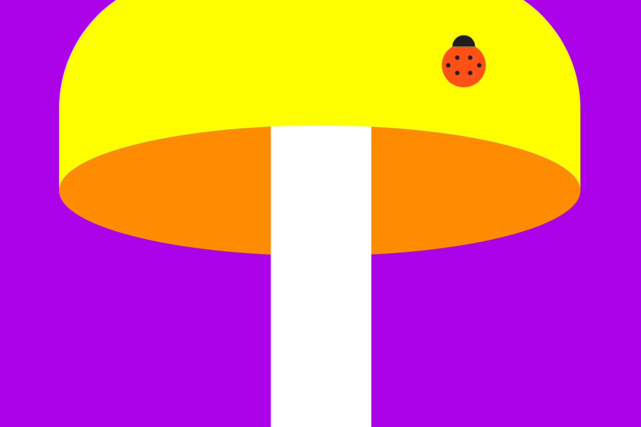 BCSP Certificate Program Announcements BCSP s Certificate Program bcsp-certificate-program-announcements-bcsp-s-certificate-program