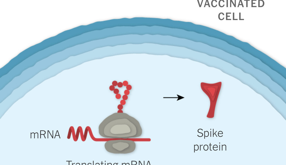 Vax Questions