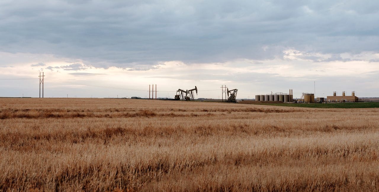 Ugly Bakken babies
