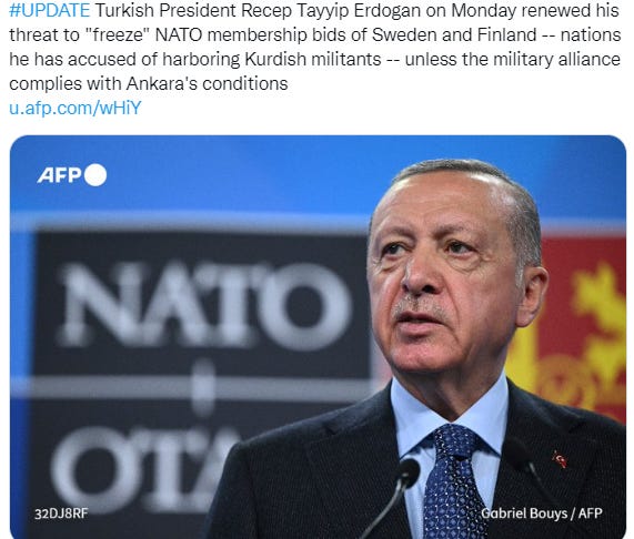 Worst scenario: Erdogan regret to helping the U.S. and NATO