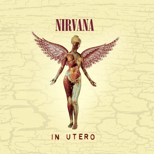 In Utero by Nirvana (Bonus)