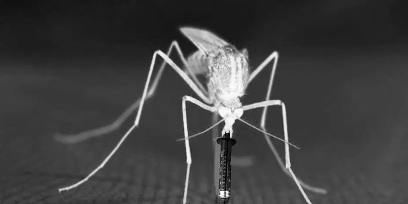 HORROR SHOW: Genetically modified mosquitoes vaccinate a human 