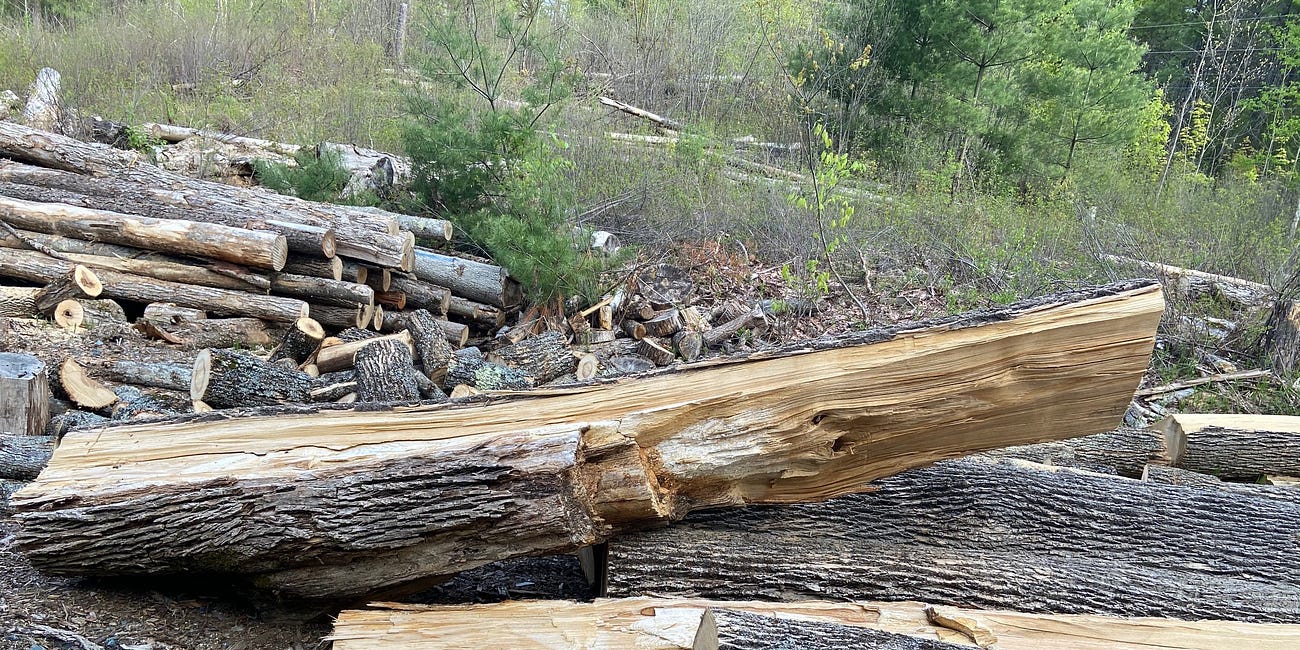 How much wood could a woodchuck smoke, if a woodchuck could smoke wood?