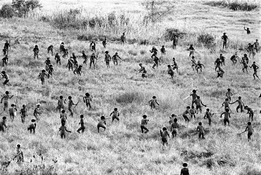 Status Monkey: Of Men, Mankind, And The Social Evolution Of Violence