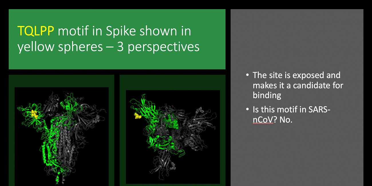 Molecular mimicry of SARS-nCoV-2 spike to human proteins including thrombopoietin and TLR-8