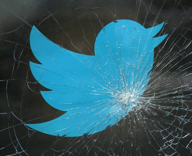 Trying to Un-Muddle the Twitter/Free Speech Debate
