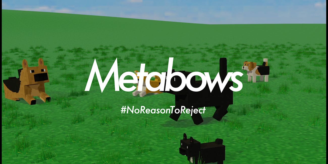 【Metabows】寄付で儲かる？犬の殺処分0を目指すNFTプロジェクトとは？