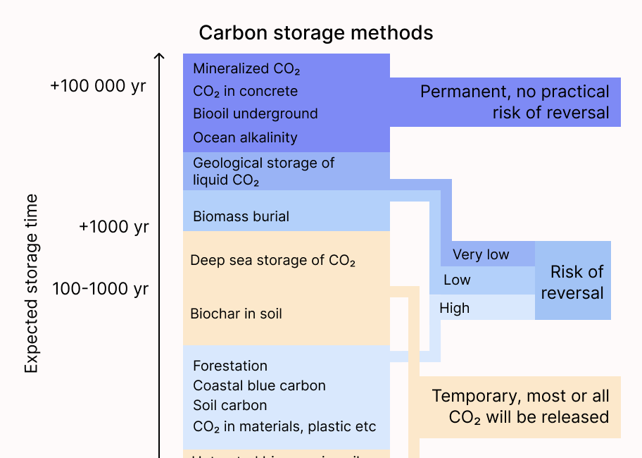 Carbon can be temporarily stored for a long time
