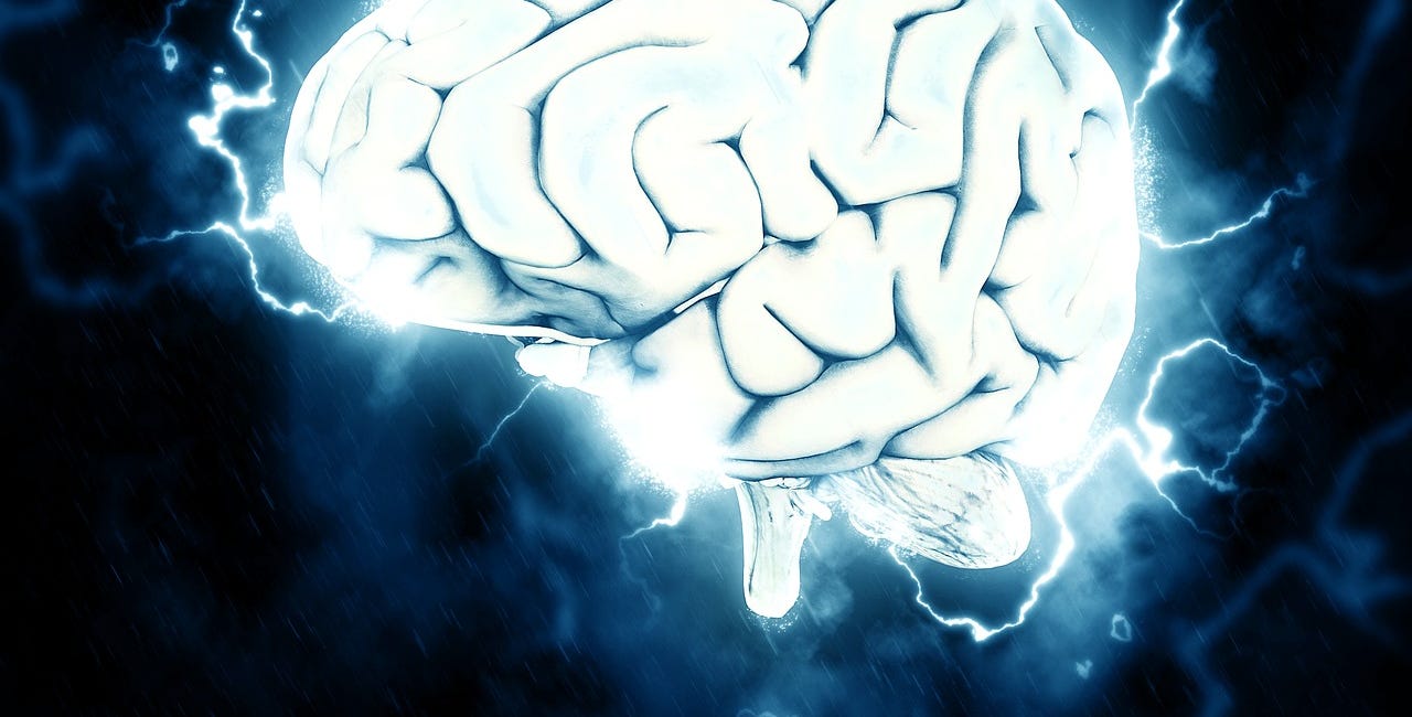Simple food rules for optimum brain health