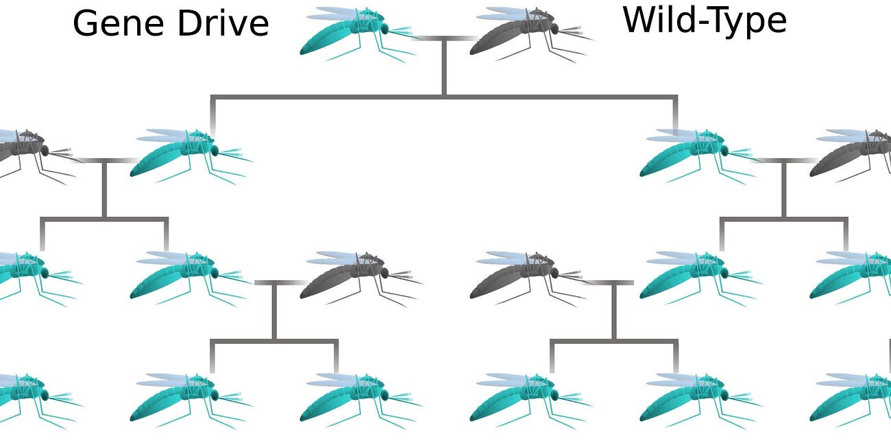 Gene drives: why the wait?