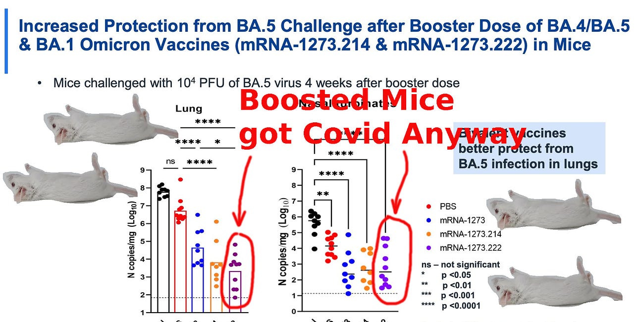 All "Bivalent Boosted" Mice Got Covid When Challenged