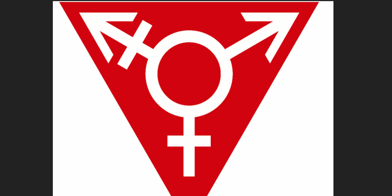 Transgender Surgery- Common Sense and Decency are Needed