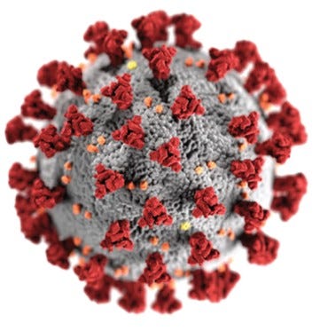 Fact: Kamala Harris undermined public trust in vaccines
