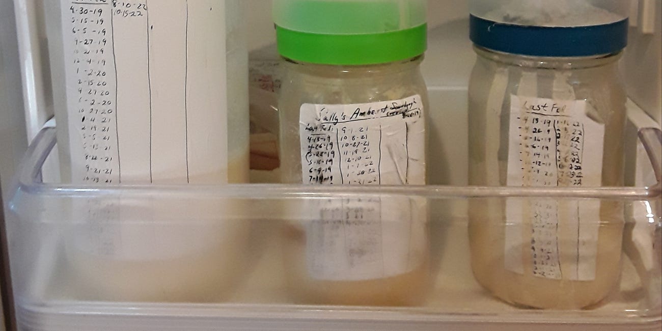 Ancestral Sourdough Cultures
