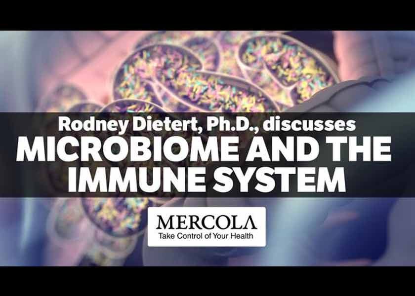 How Your Microbiome Influences Your Immune System