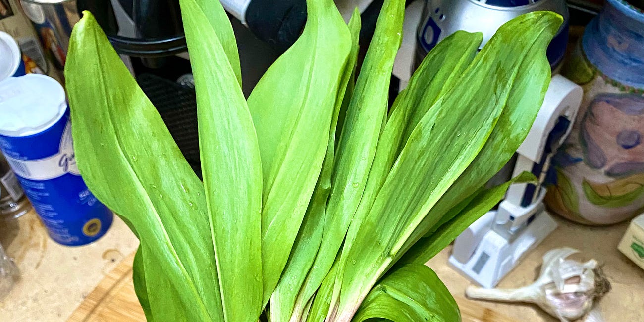 What the heck are ramps, anyway?