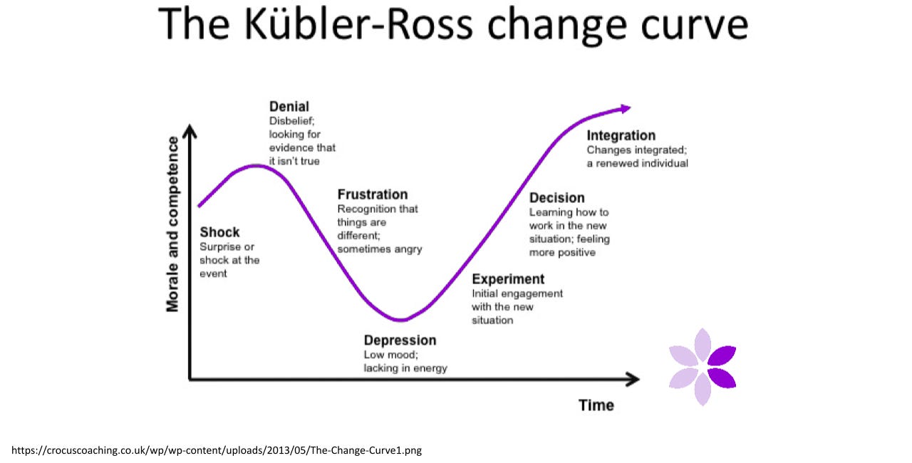 COVID-Concepts-Byte-Size Series: (Change Curve) What to do about this mishmash of news?