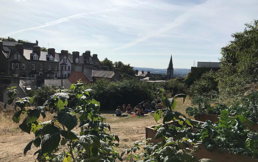 In an old quarry in St. Luke's, a community garden grows