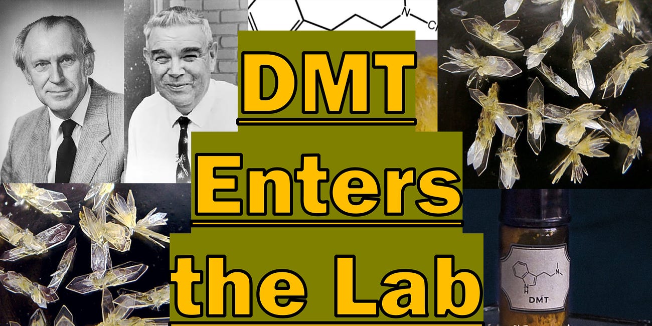 DMT Enters the Lab