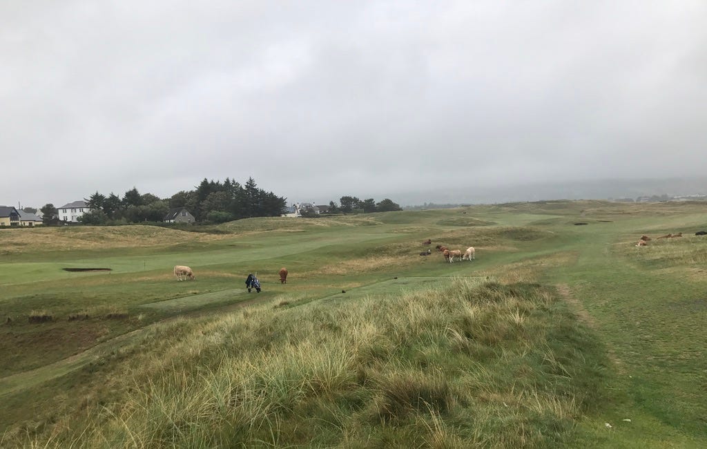 Brora Golf Course: Nature's Course