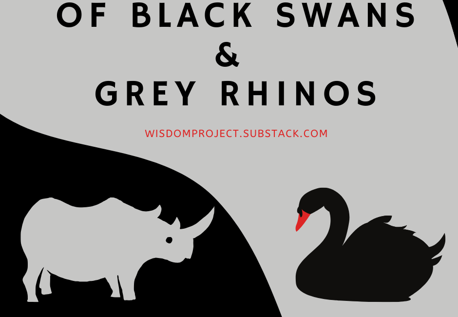 Of Black Swans and Grey Rhinos